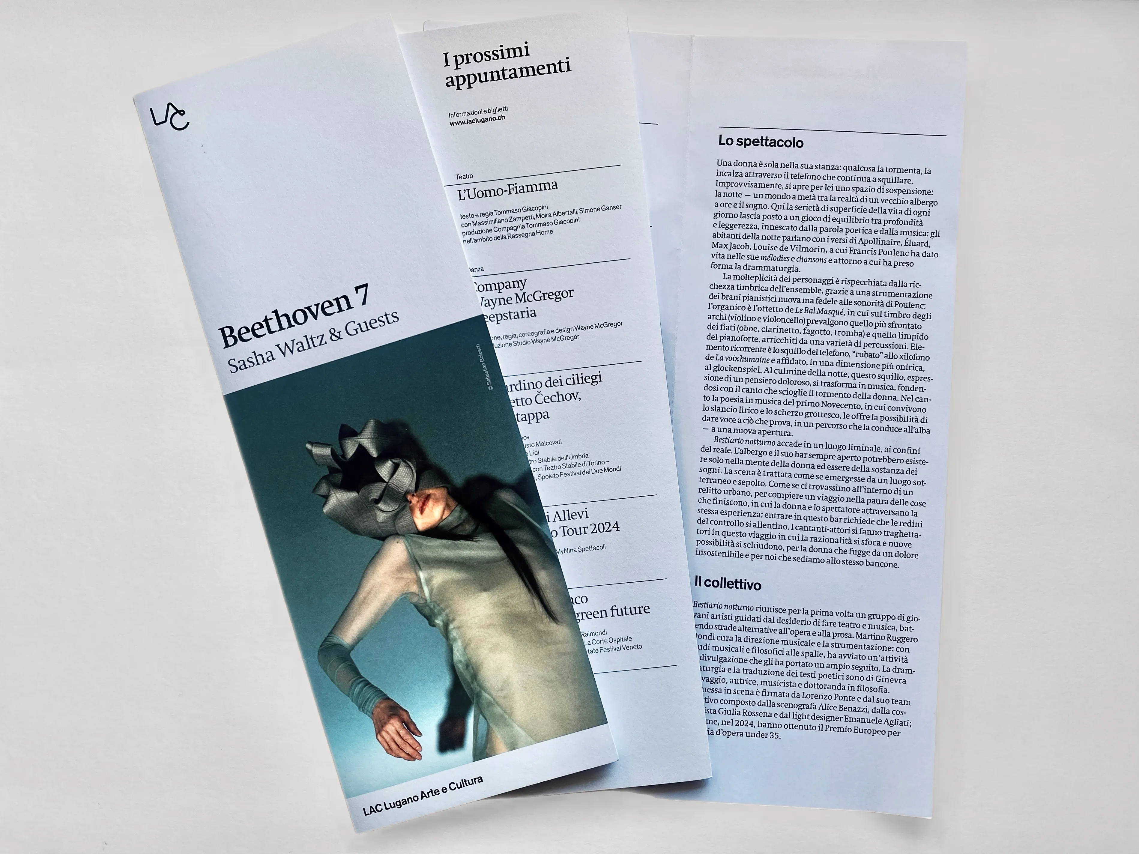 LAC_Flyer_01